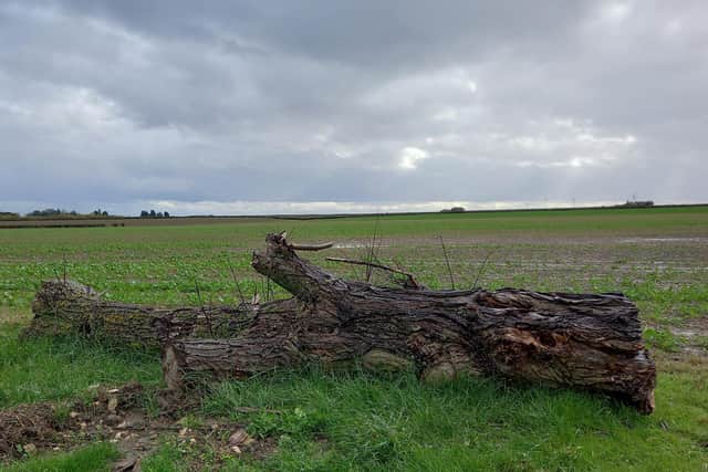Land near Scredington proposed for the new reservoir.