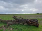 Land near Scredington proposed for the new reservoir.