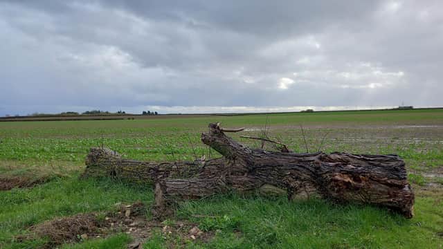 Land near Scredington proposed for the new reservoir.
