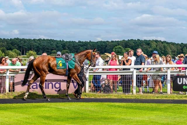 Summer Plate at Market Rasen Racecourse