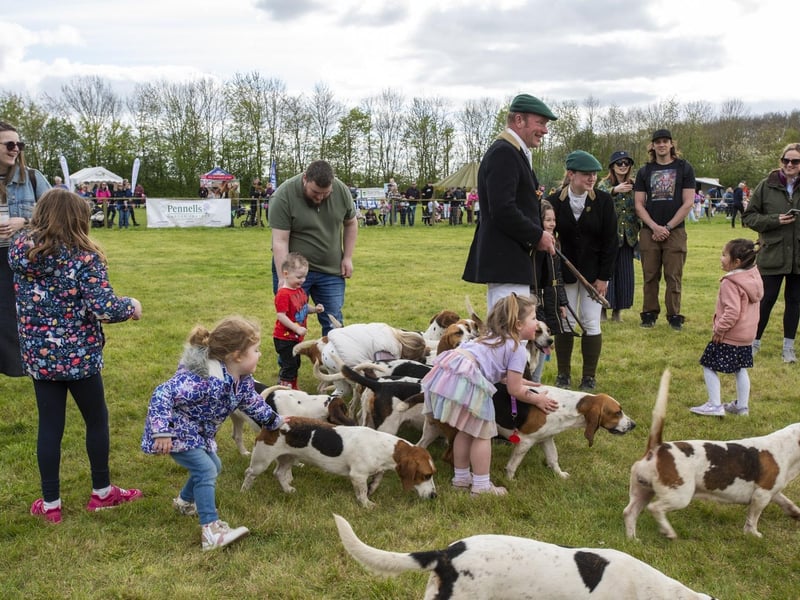 Families meet the East Lincs Basset Hounds.