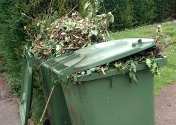 Garden waste subscription is to increase by £5 to £44 per bin. Image: Dianne Tuckett