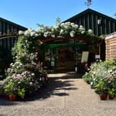 Now part of the Bells Horticulture portfolio, the well-respected Peter Beales Roses, of Norfolk. Pictured is its Attleborough-based garden centre.