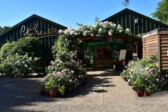 Now part of the Bells Horticulture portfolio, the well-respected Peter Beales Roses, of Norfolk. Pictured is its Attleborough-based garden centre.