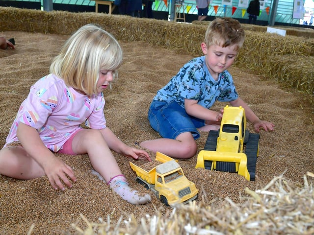 Rowan Mason 6 and Florence Mason 3 of Cherry Willingham in the grain pit play area. Photo: David Dawson