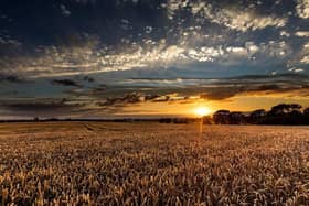 New report reveals the benefits of tourism in the East LIndsey area during 2023