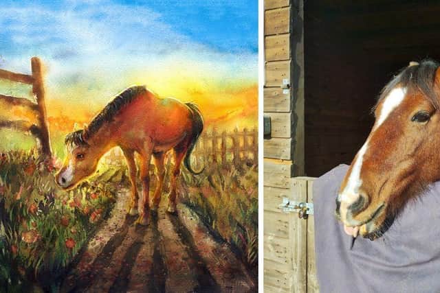 A side-by-side of Jasper with his watercolour illustration.