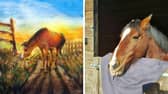 A side-by-side of Jasper with his watercolour illustration.