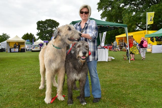 Angela Fox of Swineshead with her Irish Wolf Hounds, Eli (left) and his mother Betty. Eli won 1st in Best Pedigree category