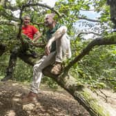 The 150-year-old oak - newly named Mr Silly Arms - has been named the UK’s perfect climbing tree.