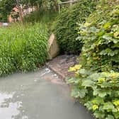 The sewerage in Louth canal. Photos supplied.