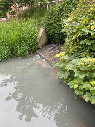 The sewerage in Louth canal. Photos supplied.