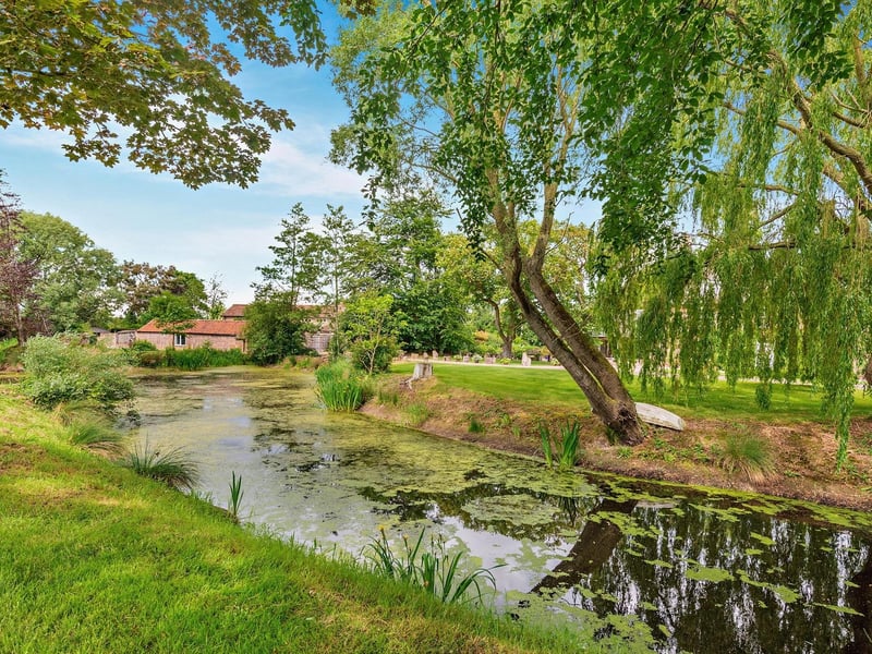 The pond.