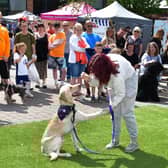 Last year's event