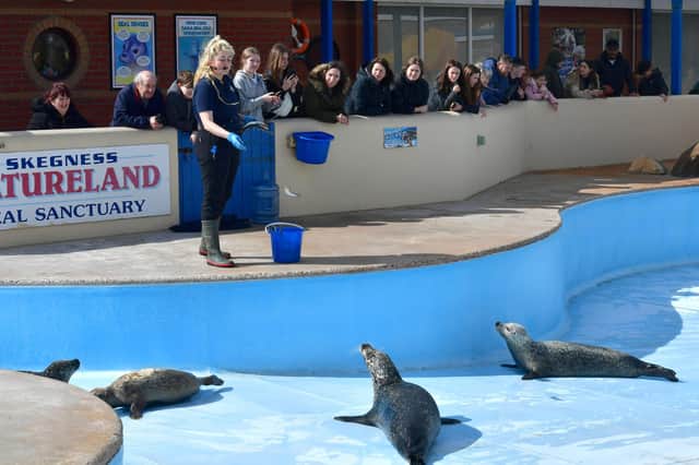 Feeding time at the seal pools  is always a popular attraction at Skegness Natureland.