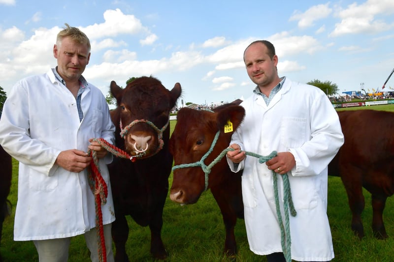 The Woldmarsh Grand Parade of Livestock, from left: Martin Clough and Barry Holden of Halton Holegate with Lincoln Red Cattle