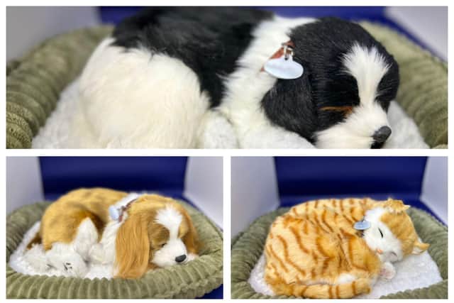 some of the dementia pets
