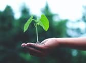 Winter gardening is in your own hands