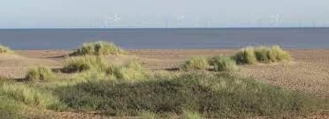 This stretch of coastline will be known as the The Queen Elizabeth Memorial Lincolnshire Coastal Country Park