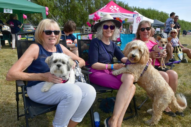Pictured, from left: Annette Jakeman with Lottie, Christine Osborne with Matti, Jacqueline Wagner with Mitzi.