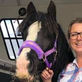 Limpopo who was rescued from one of the worst cruelty cases Bransby Horses has ever seen is settling into her new home