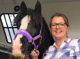 Limpopo who was rescued from one of the worst cruelty cases Bransby Horses has ever seen is settling into her new home