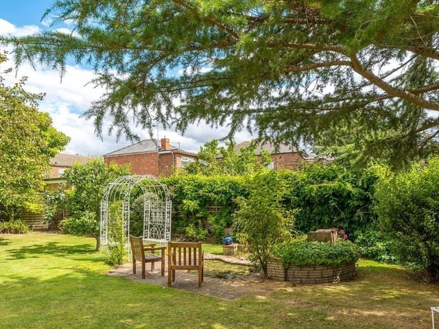 More of the garden.