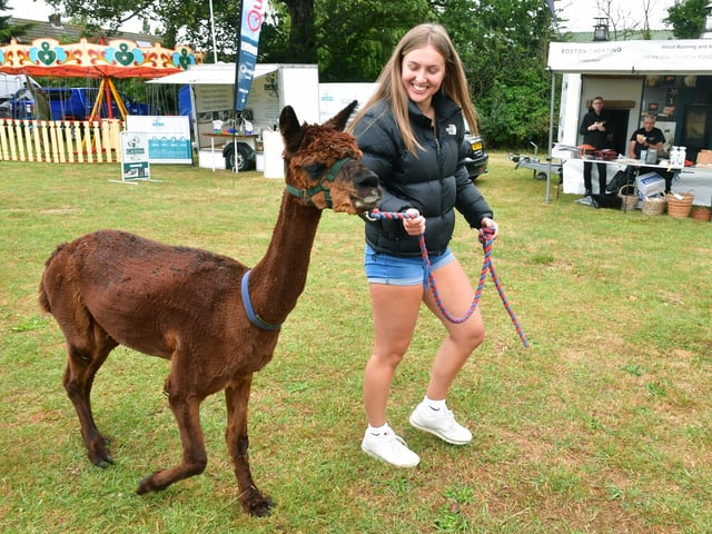 Keira Gilman, of Spalding, walking Otto the alpaca.