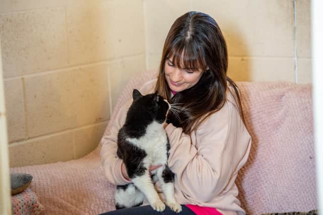 Beanie the cat with Emma Murphy at Ark Animal Rescue.