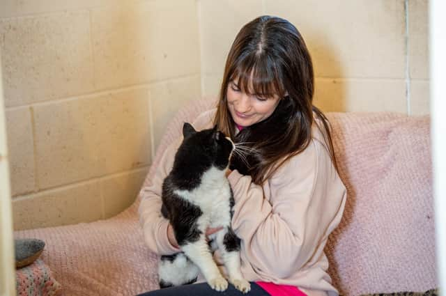 Beanie the cat with Emma Murphy at Ark Animal Rescue.