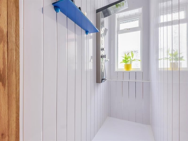 The walk-in shower.