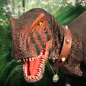 You will have a chance to meet Dino Pete, the Tyrannosaurus Rex at this month's Farmers and Craft Market in Gainsborough