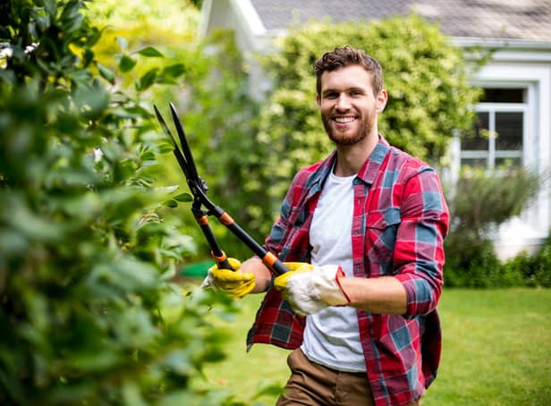 Sixty-three per cent of UK gardeners play music to their plants, research found (photo: Adobe)