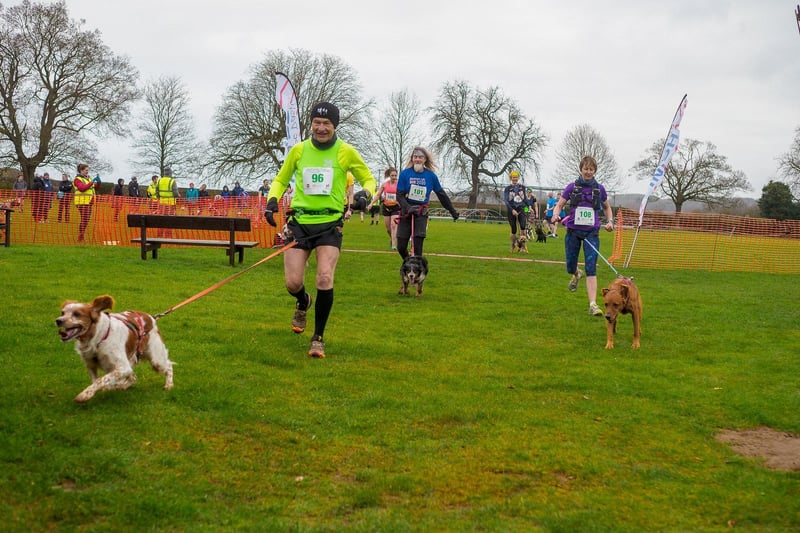 Canicross runners Steve Bienkowski (left), David French, and Emily Murdoch (right).