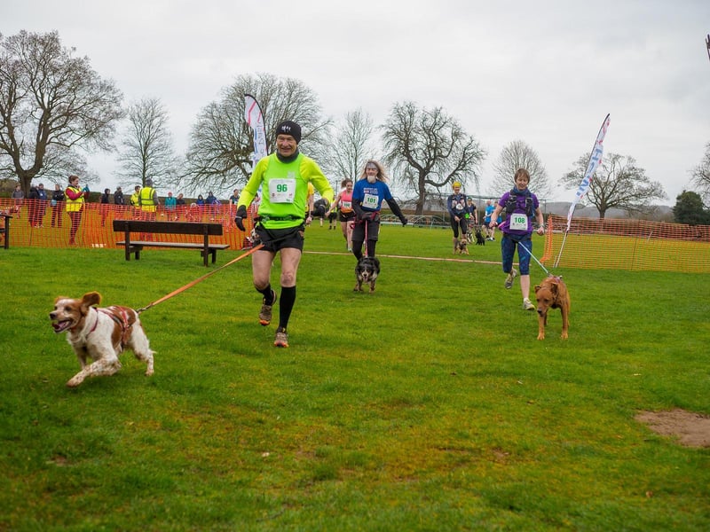 Canicross runners Steve Bienkowski (left), David French, and Emily Murdoch (right).