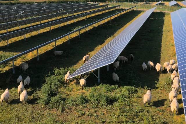 Solar farm plans. (Stock image)