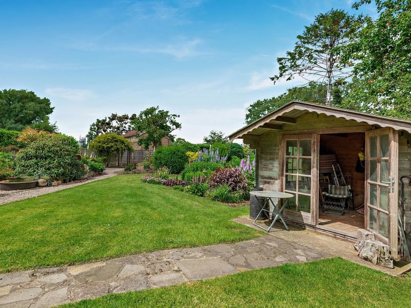 The garden.