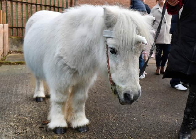 Frosty the unicorn made an appearance at Lily's party.