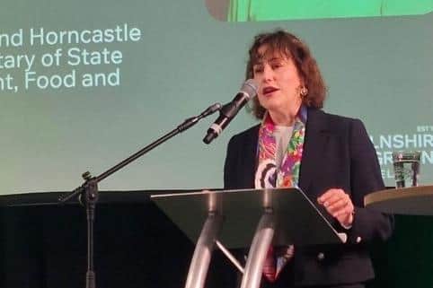 Louth and Horncastle MP Victoria Atkins.
