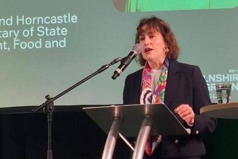 Louth and Horncastle MP Victoria Atkins.