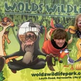 Youngsters enjoying Wolds Wildlife Park's summer fair.