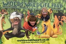 Youngsters enjoying Wolds Wildlife Park's summer fair.