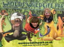 Youngsters enjoying Wolds Wildlife Park's summer fair.