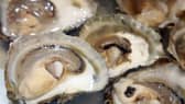A recent Shellfish Traceability Audit has highlighted the Food Safety Team's dedication