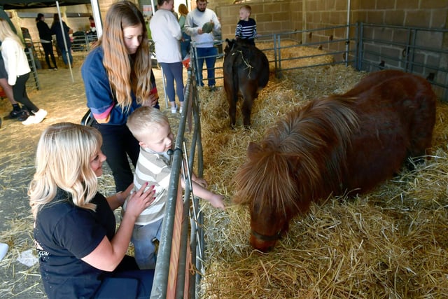 Lucy Heath and Ethan Murrell 4 feeding a donkey in the Farmyard Zone