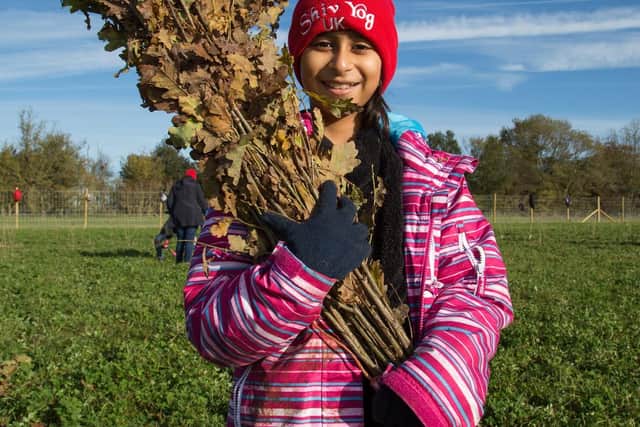The Woodland Trust is urging schools and communities to join the fight against climate change and nature loss by taking advantage of its latest tree-pack giveaway.