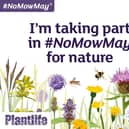 #NoMowMay
