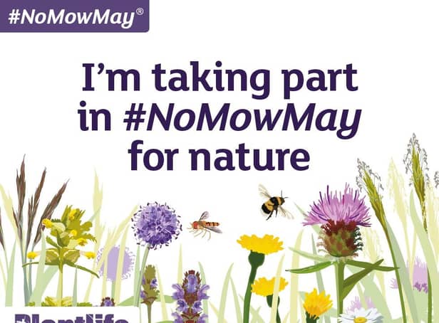 #NoMowMay