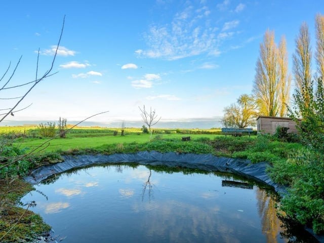 The pond.