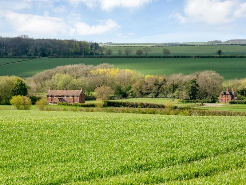 The plot is also home to income-generating cottages.